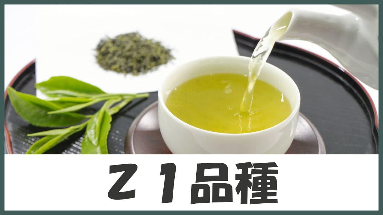 人を選ぶ!?強い個性が特徴!渋味が大好きな方にオススメする幻のお茶「Z1」
