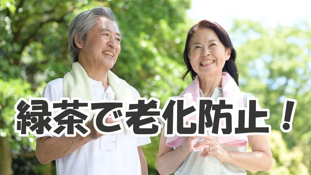 緑茶で老化の原因を防いで健康維持!カテキンパワーで酸化と糖化を解消!