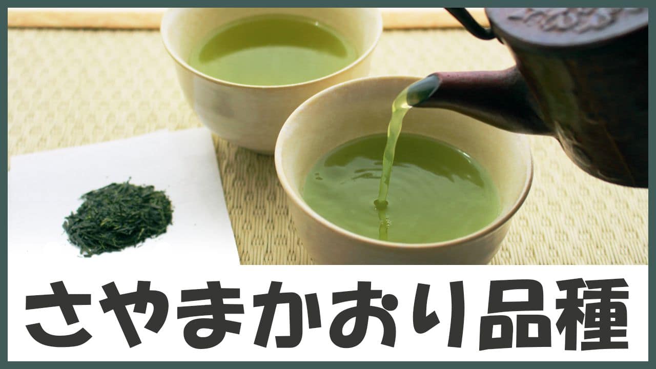 日本三大茶の狭山生まれ!濃厚でコクのある渋みを味わうお茶「さやまかおり品種」