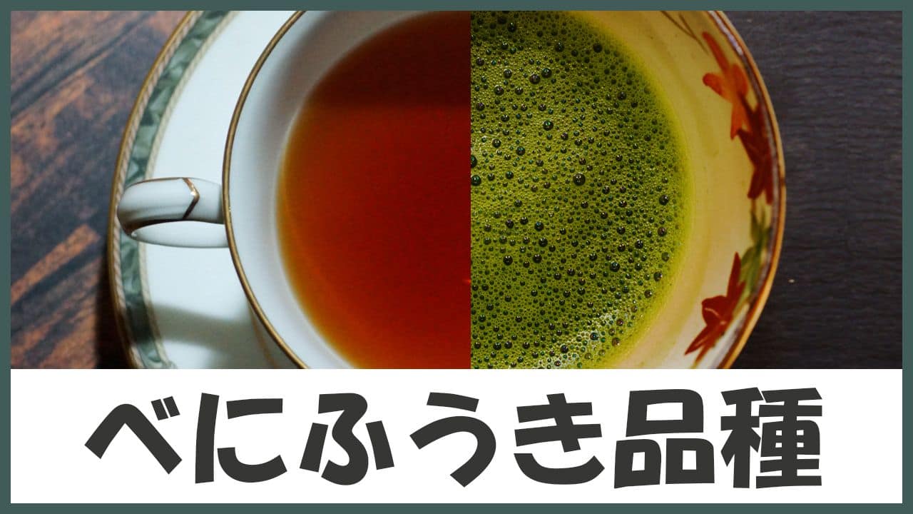 花粉症対策の緑茶&華やかに味わう紅茶!加工で変わる超有能な「べにふうき品種」